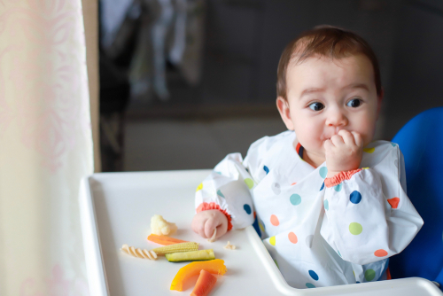 BLW: Un Modo Para Que El Bebé Aprenda A Comer Solo